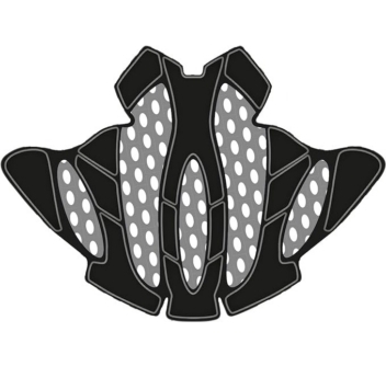 616v6v7qJLL-AC-SX679-