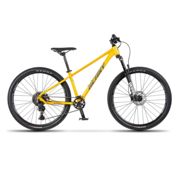 beany-blaster-25-velohunt