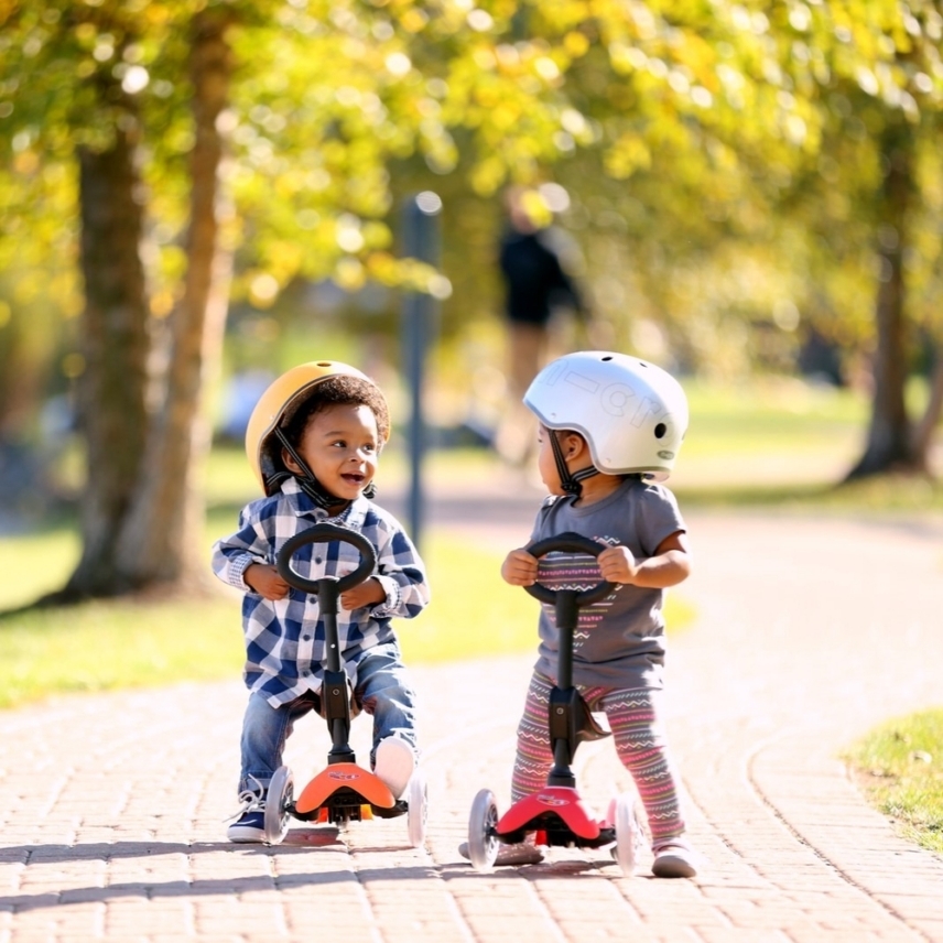 large-Mini-Micro-3in1-Deluxe-Mixed