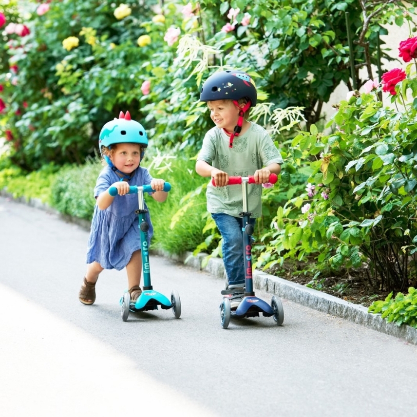 large-Mini-Micro-Deluxe-Smart-2