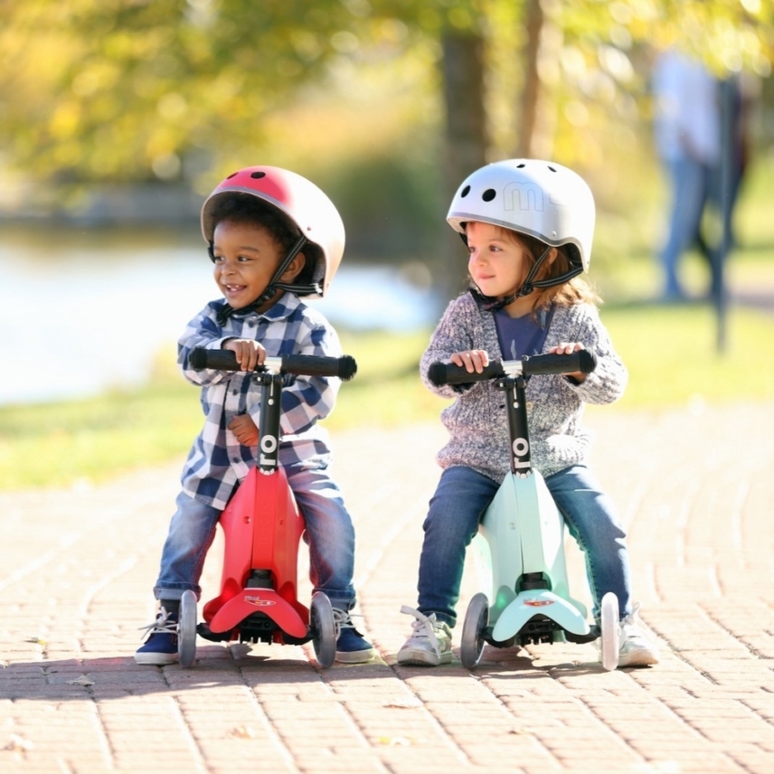 large-Mini2go-Deluxe-Mixed